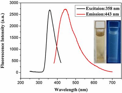 Trimetallic PdCuAu Nanoparticles for Temperature Sensing and Fluorescence Detection of H2O2 and Glucose